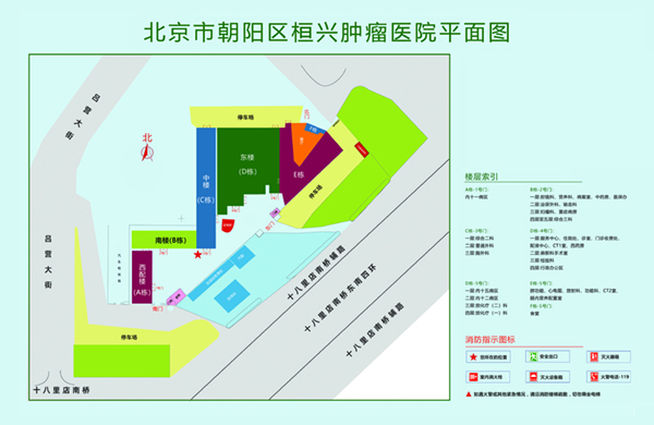 大鸡巴操大乱交北京市朝阳区桓兴肿瘤医院平面图